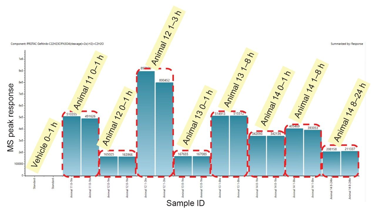 Peak intensity response in urine for PROTACs–3–gefitinib metabolite M6