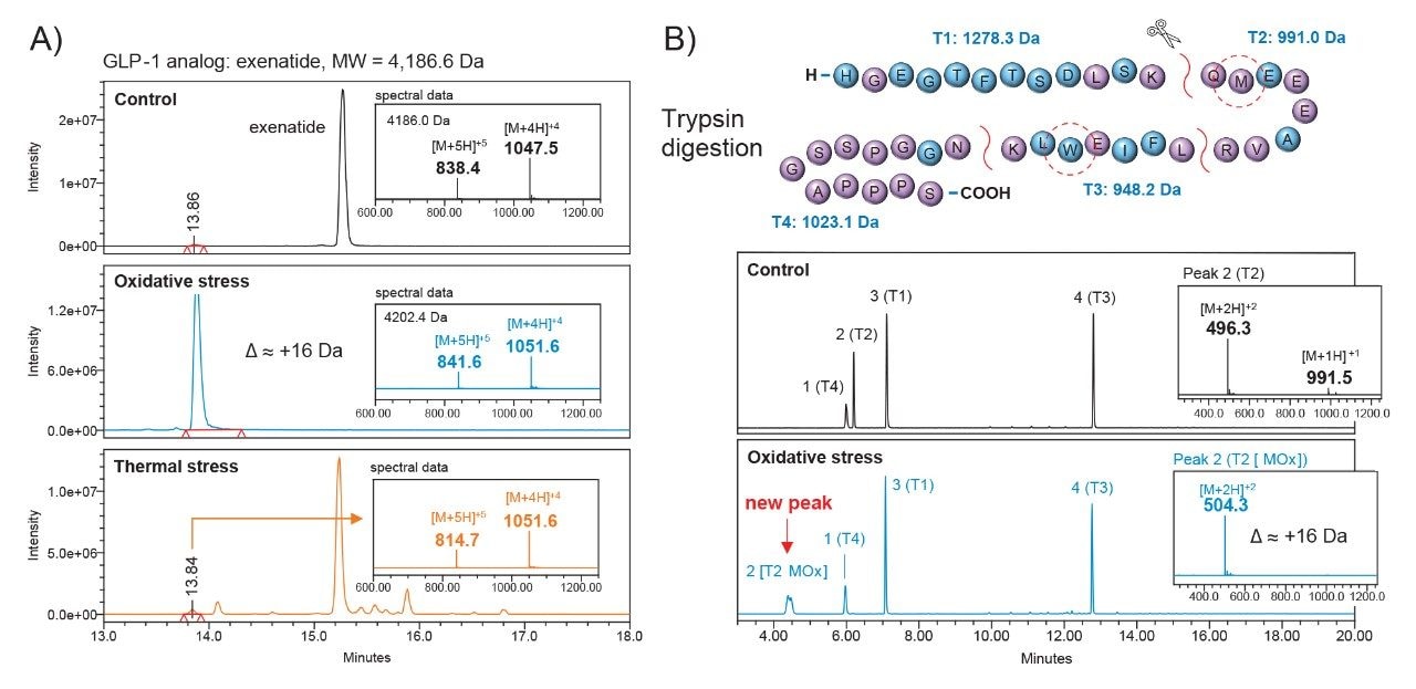 A) Exenatide control (top panel) was subjected to oxidative stress using hydrogen peroxide. Stressed sample showed a retention time shift (-1.3 min) and mass difference (+16Da) (middle panel). This data was cross-correlated to confirm oxidation degradants in the thermally stressed sample (bottom panel). B) Control and oxidatively stressed samples of exenatide were enzymatically treated. The new peak in the stress sample was putatively identified as the oxidized form of the T2 peptide fragment based on mass data