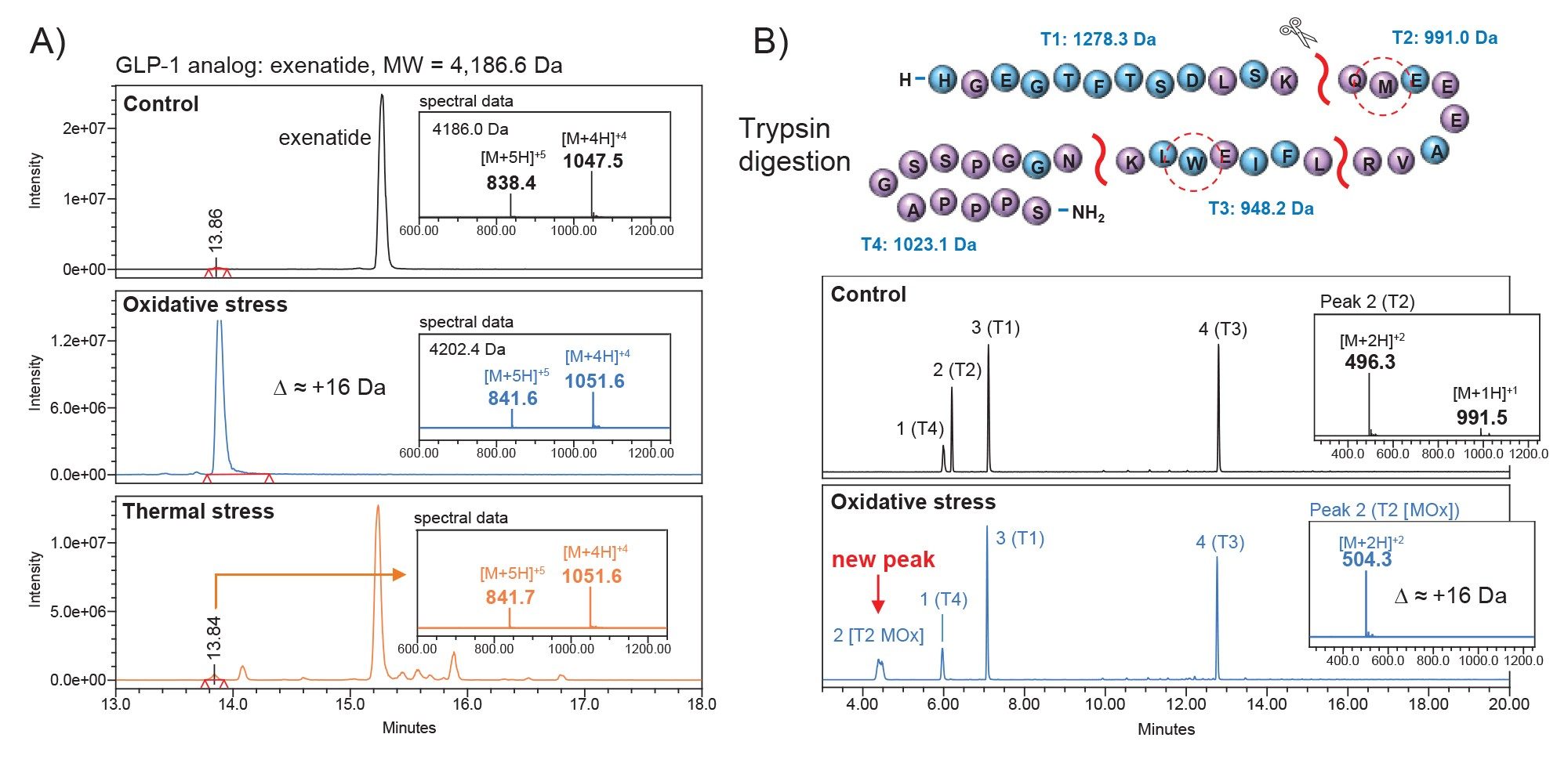 A) Exenatide control (top panel) was subjected to oxidative stress using hydrogen peroxide. Stressed sample showed a retention time shift (-1.3 min) and mass difference (+16Da) (middle panel). This data was cross-correlated to confirm oxidation degradants in the thermally stressed sample (bottom panel). B) Control and oxidatively stressed samples of exenatide were enzymatically treated. The new peak in the stress sample was putatively identified as the oxidized form of the T2 peptide fragment based on mass data