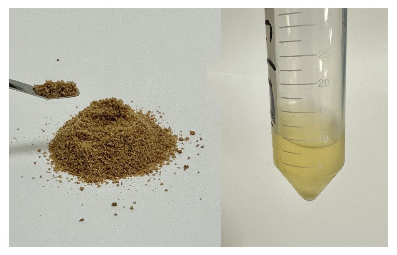Fish meal and the extract before dilution