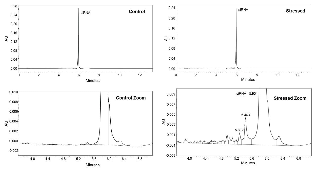 siRNA LC-MS Standard Control full scale (top left)