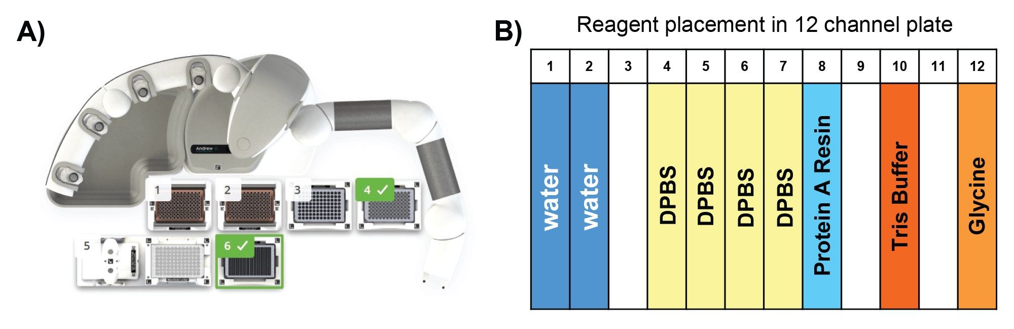 (A) Placement of Andrew+ dominos for the ProA affinity purification of 96 samples. Position 1&2, 300 µL pipette tips; 3, Quanrecovery plate; 4, HCCF sample; 5, Extraction+ with filter plate; and 6, reagent trough. Users should follow OneLab screen instruction for the final placement. (B) Dialog box for entering number of samples upon execution of the protocol