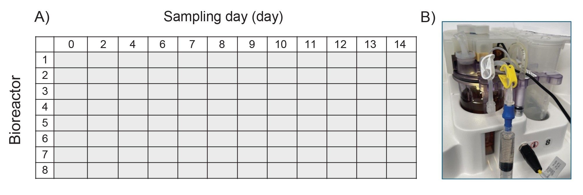 (A) Representative sample placement for a 14-day fed-batch experiment using Ambr 250 in a 96 well plate format. Samples are arrayed by day of harvest on the x-axis, and by bioreactor vessel on the y-axis. (B) HCCF sampling from an Ambr 250 modular system