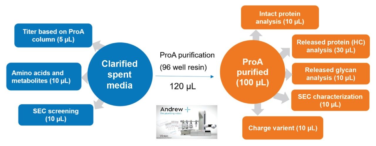 HCCF sample distribution volume consumed for various process and product attributes measurements. A total of 150 µL of HCCF is needed