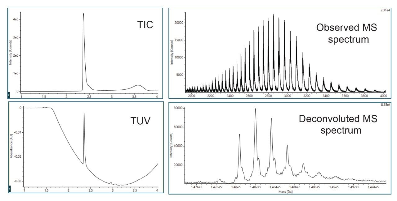 (Left) Total ion chromatogram and TUV trace of NISTmAb as 1 mg/ mL solution with 2 µL injection volume. (Right) Observed and deconvoluted MS spectra