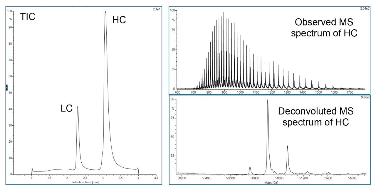 (Left) Total ion chromatogram of NISTmAb after DTT reduction to form heavy chain (HC) and light chain (LC). (Right) observed and deconvoluted spectra of heavy chain