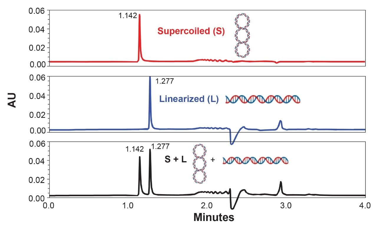 Plasmid linearization efficiency analysis by slalom chromatography