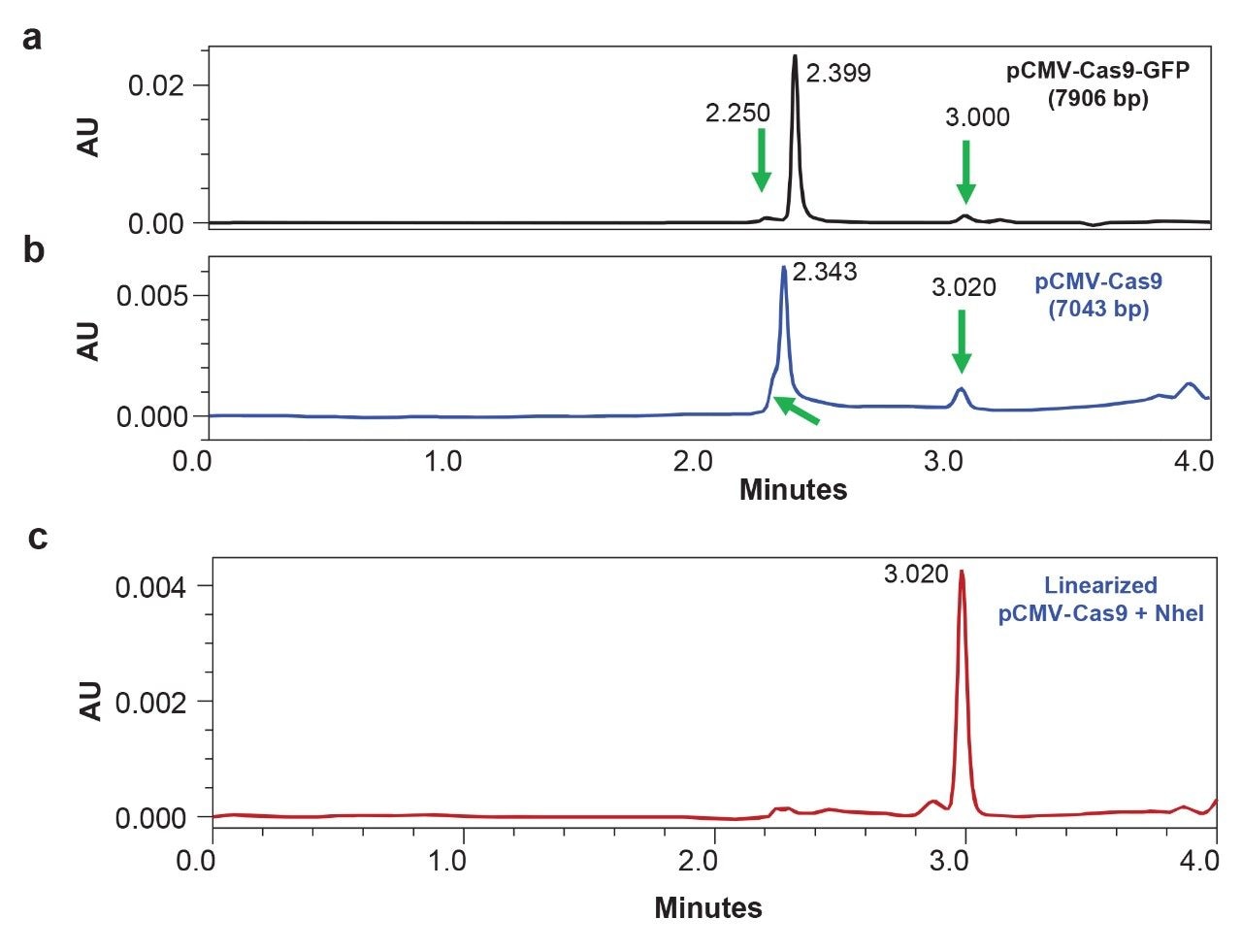 Plasmid topology studies by slalom chromatography