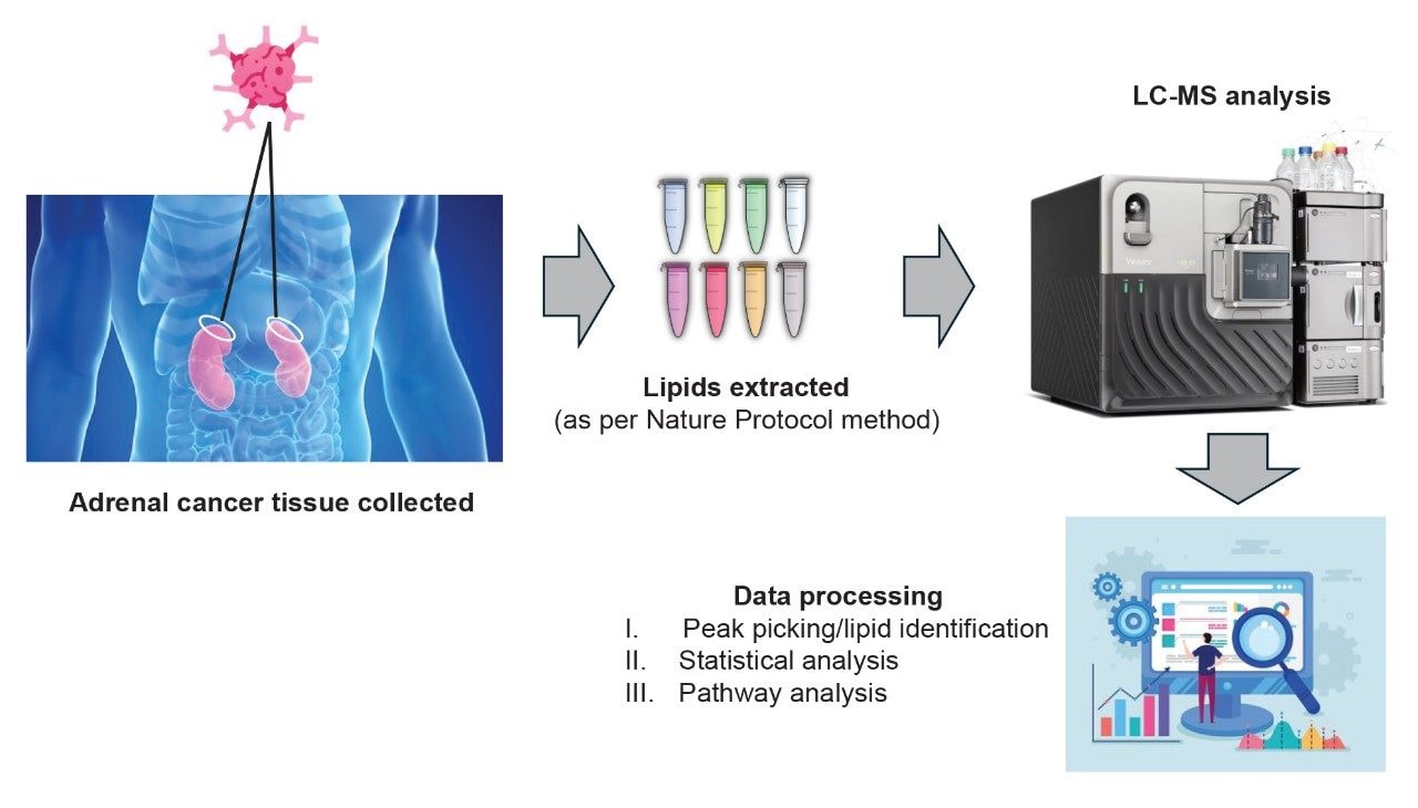 Experimental workflow. Adrenal cancer tissues collected, and lipids extracted using the previously published nature protocols method.