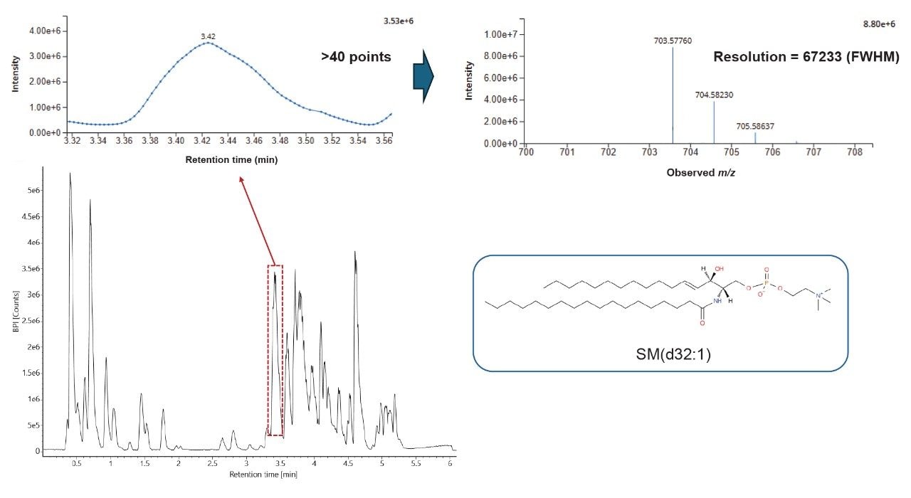 Example MSE data from an ACC tissue extract. Representative chromatogram (bottom left) with a zoomed in region highlighting points across the peak (top left) and associated spectrum (top right) relating to SM (d32:1)
