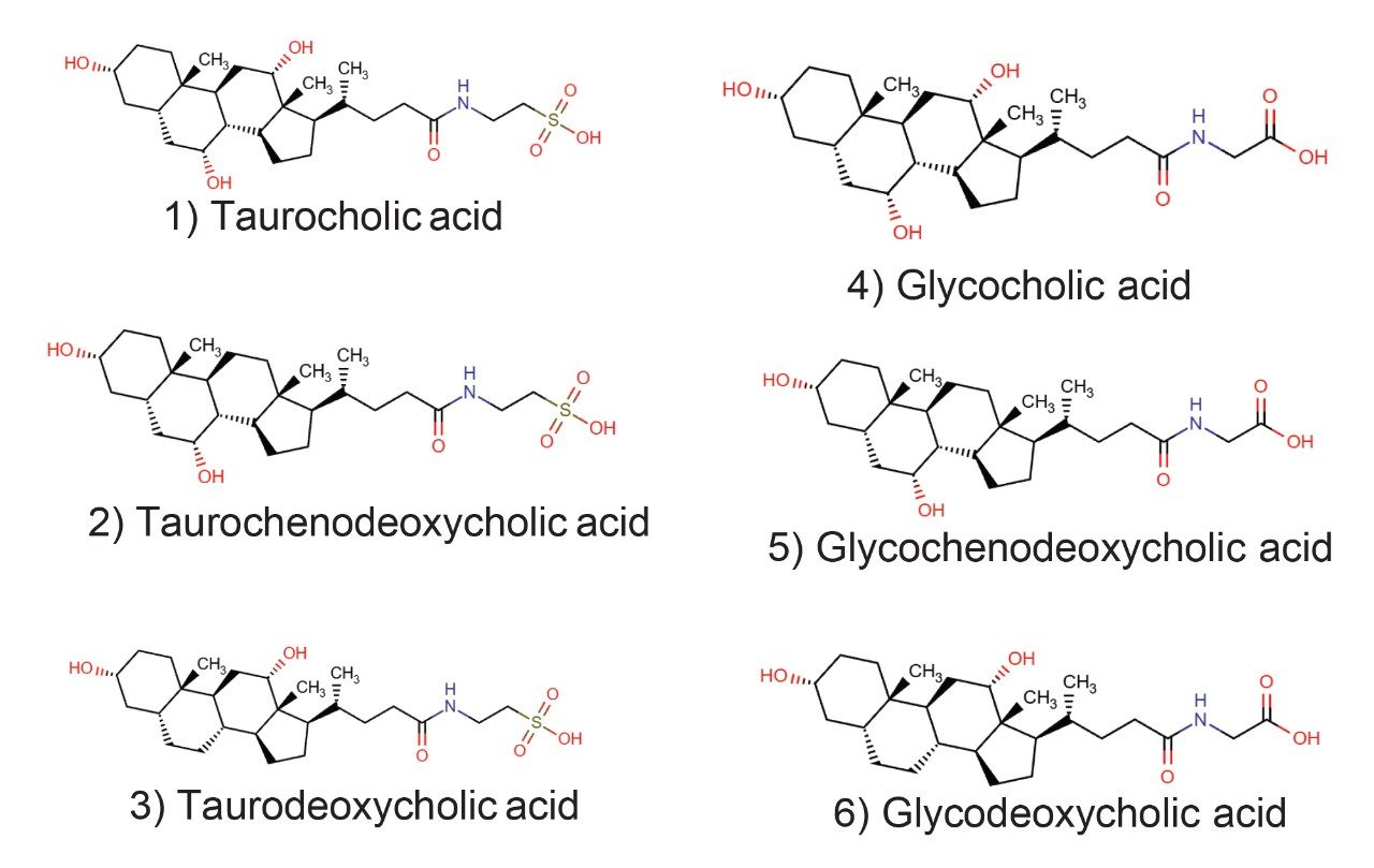Chemical structures of the bile acids analyzed