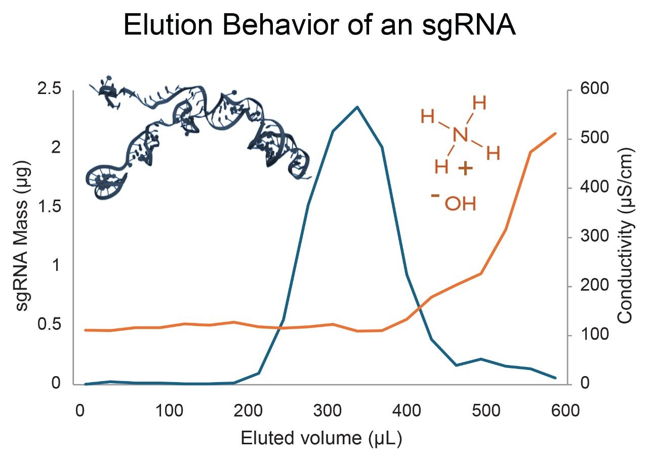 Elution profiles of oligonucleotide (sgRNA) mass (blue trace) and ammonium hydroxide conductivity (orange trace)