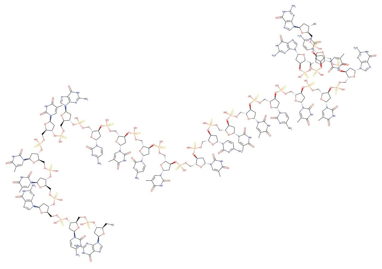 23-base fully phosophorotioated oligonucleotide