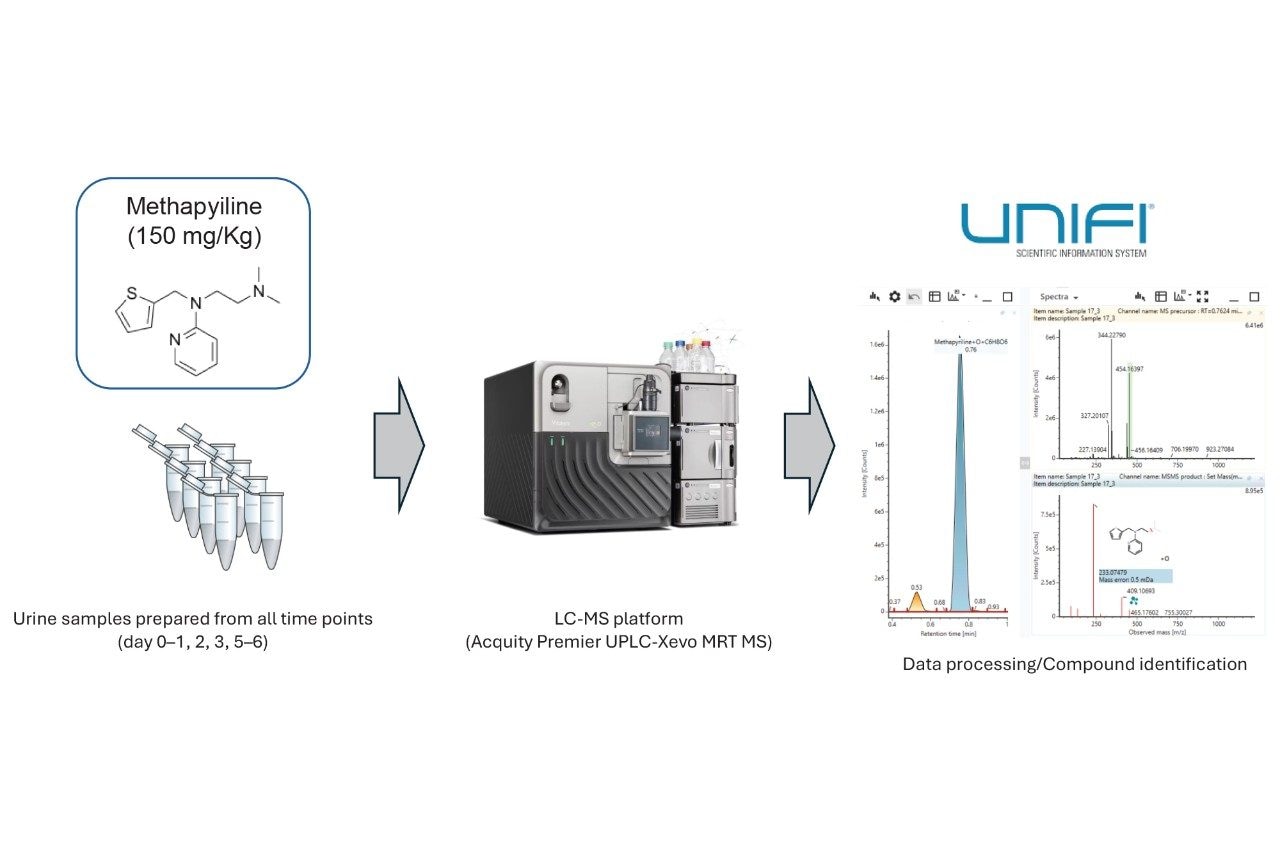 Met ID experimental workflow and data analysis