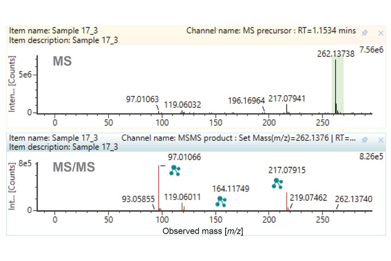 Mass spectra relating to the MP substrate