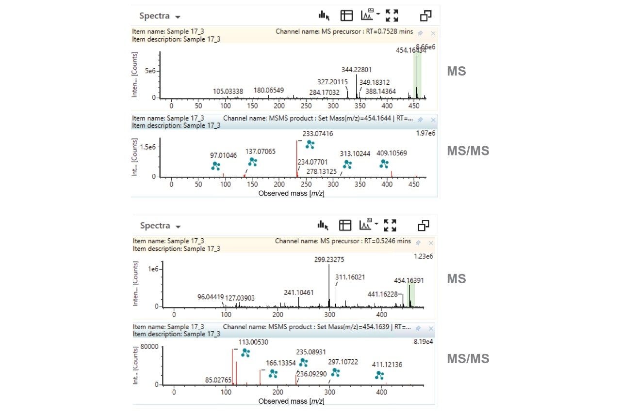 Mass spectra relating to the O-glucuronide metabolites