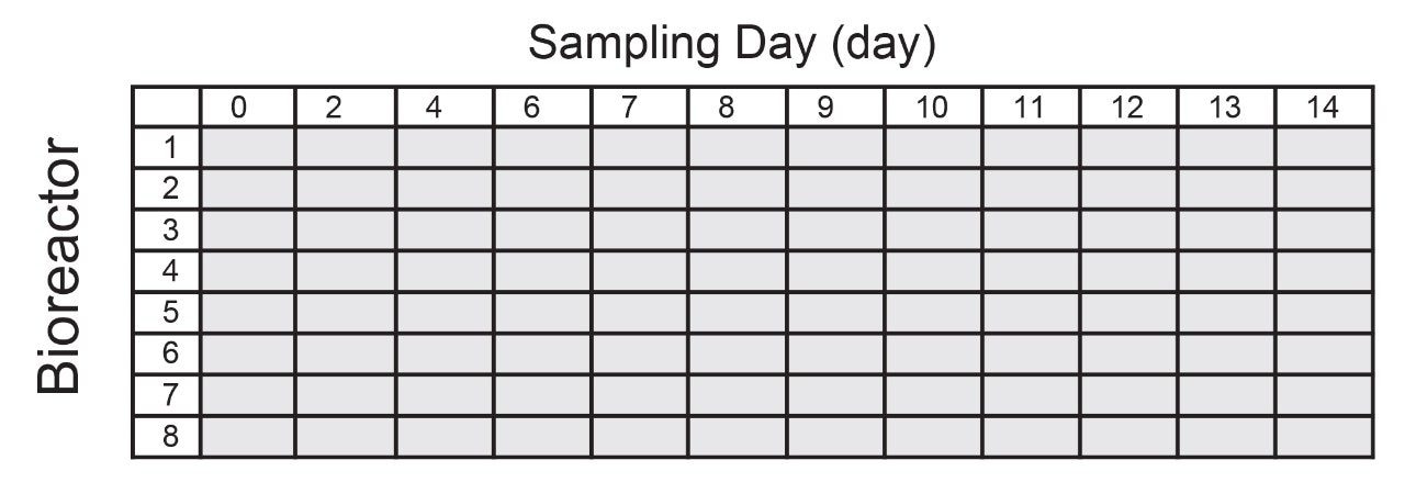  Layout of 96 samples from the Ambr250 incubation of 8 bioreactors and HCCF sampling for 14 days