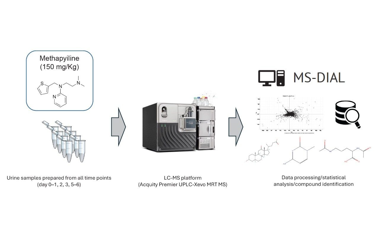 Experimental workflow