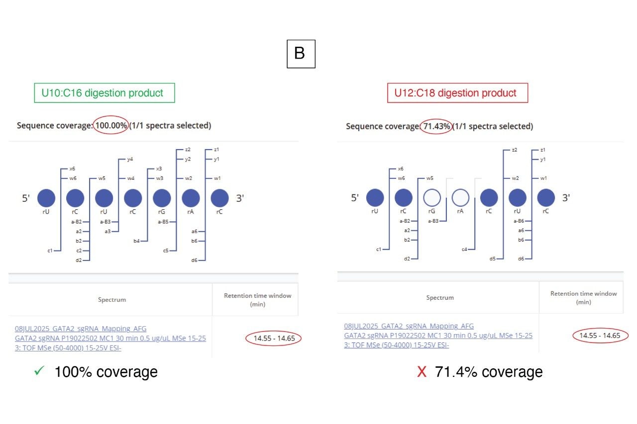 CONFIRM Sequence App results showing the dot-map sequence coverages obtained for the two isomeric 7-mer digestion products