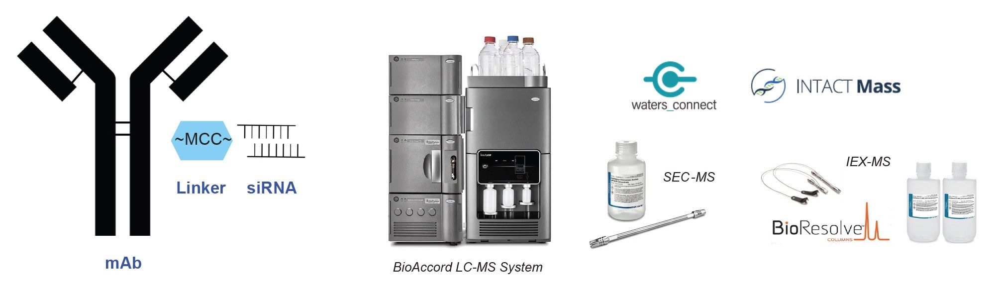 Antibody-oligo conjugate (AOC) structure, BioAccord LC-MS System