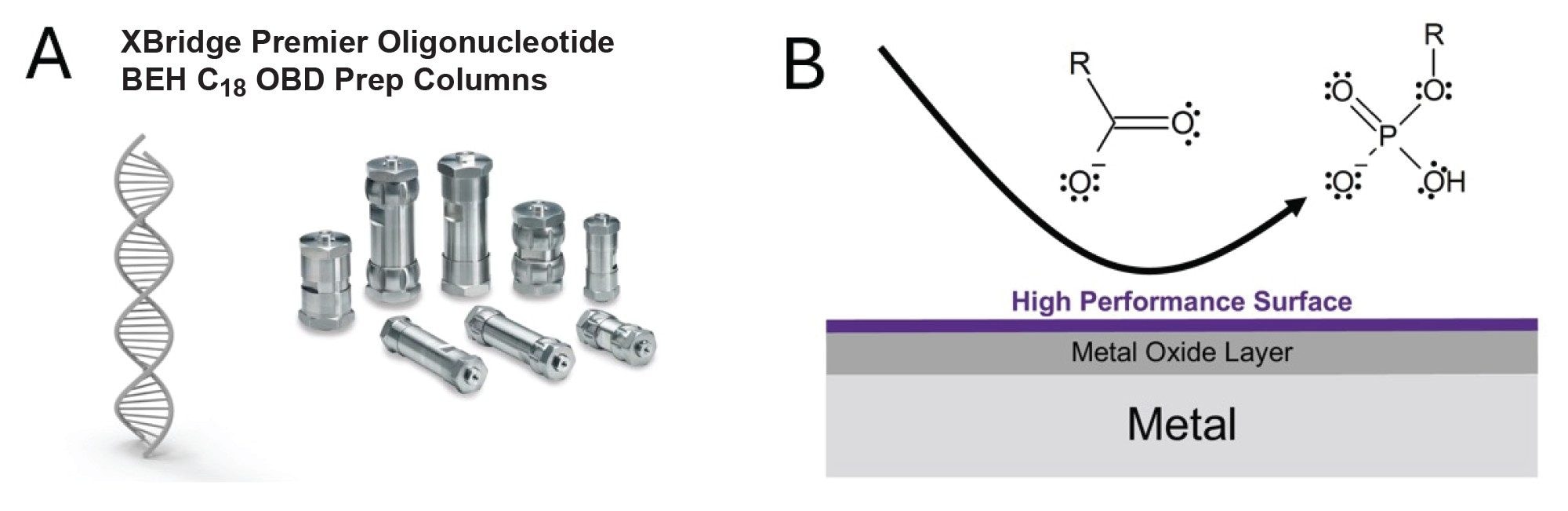 XBridge Oligonucleotide BEH C18, 300 Å, OBD Preparative Columns and XBridge Premier Oligonucleotide BEH C18, 300 Å