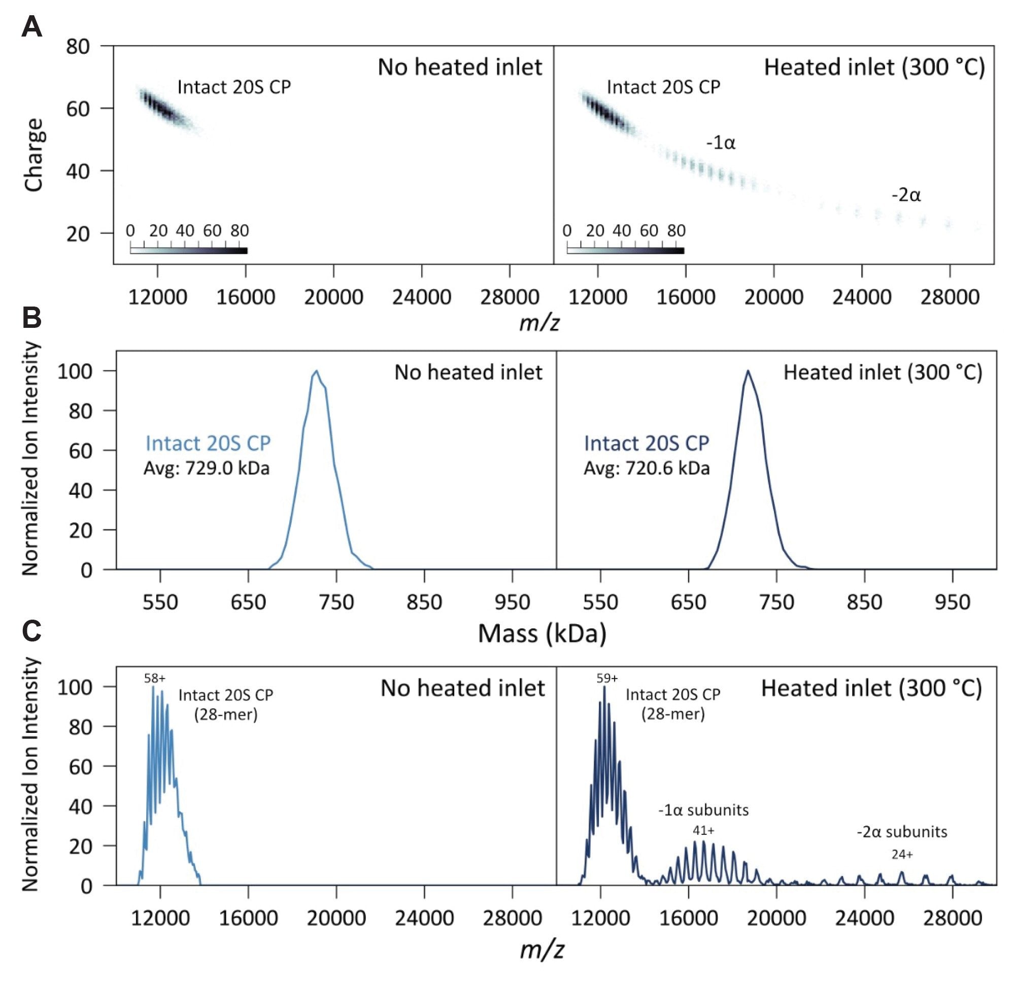 CDMS 2D charge vs. m/z combined scatter and density plots for the 20S CP