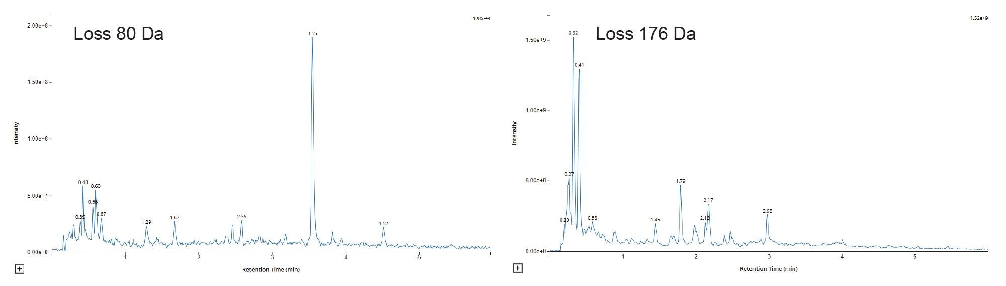 Total ion chromatogram obtained using +ve ESI the constant neutral loss of 80 and 176 Da analysis of rat urine on D5 following repeat oral administration of methapyrilene at 50 mg/Kg