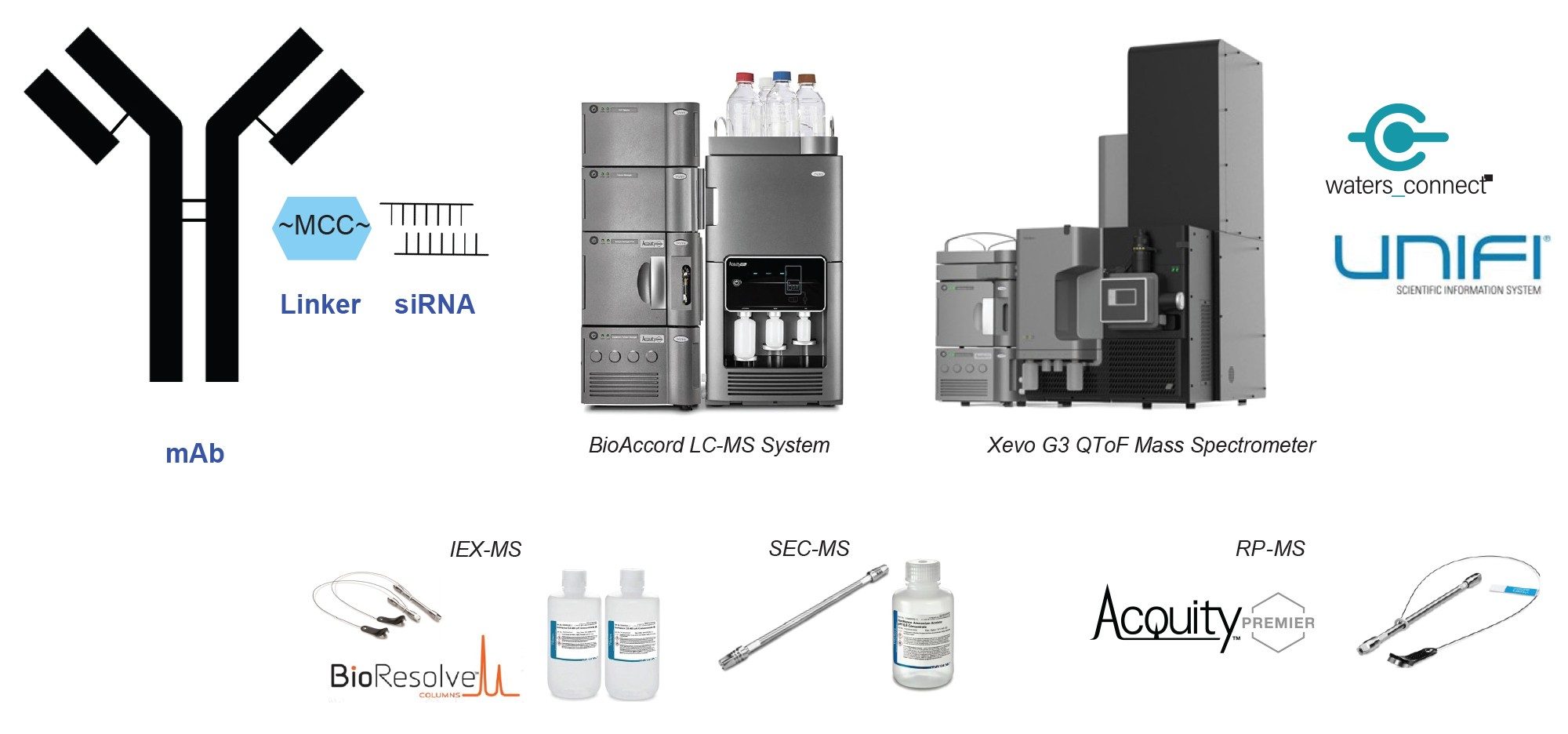 Antibody-oligo conjugate (AOC) structure, BioAccord LC-MS System