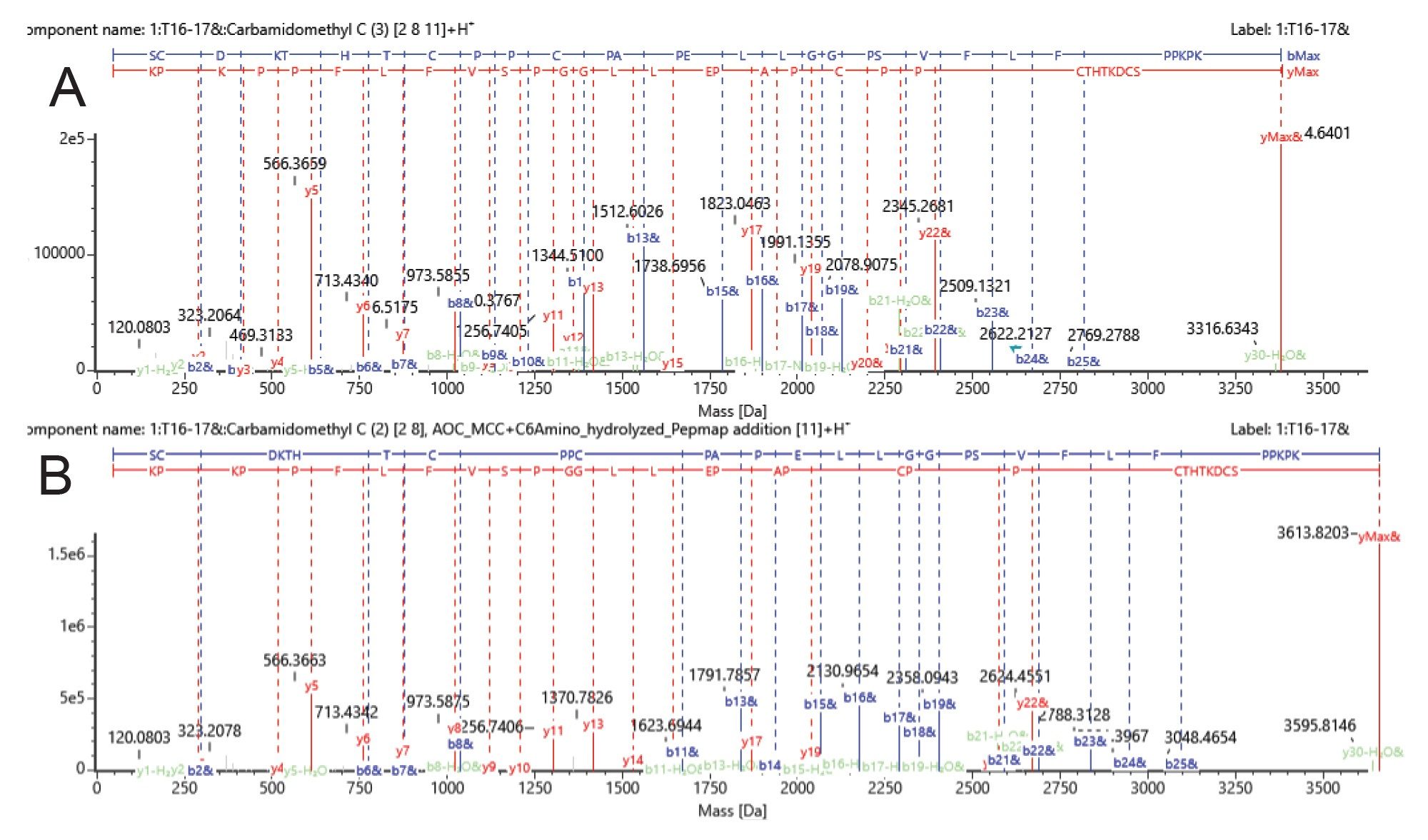 Example CID fragmentation data for HC: T16–17 and corresponding