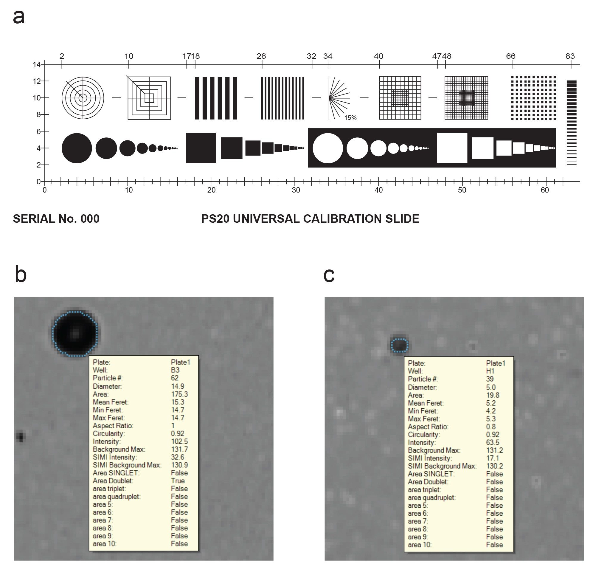 Sizing with the Aura system. (A) Calibration with ASTM Microscope Slide. Particle size verification with (B) 15 μm and (C) 5 μm polystyrene bead standards as shown in the captured images from the Aura Particle Vue software tooltip