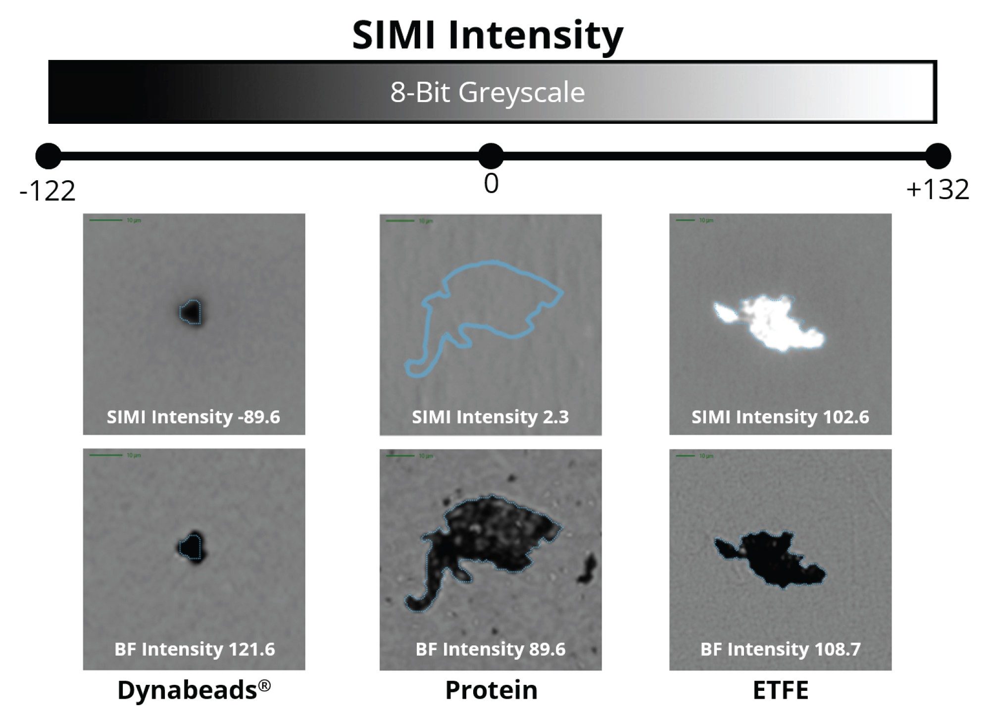 Relative SIMI intensity can be used for identifying foreign contaminants in a variety of biological products