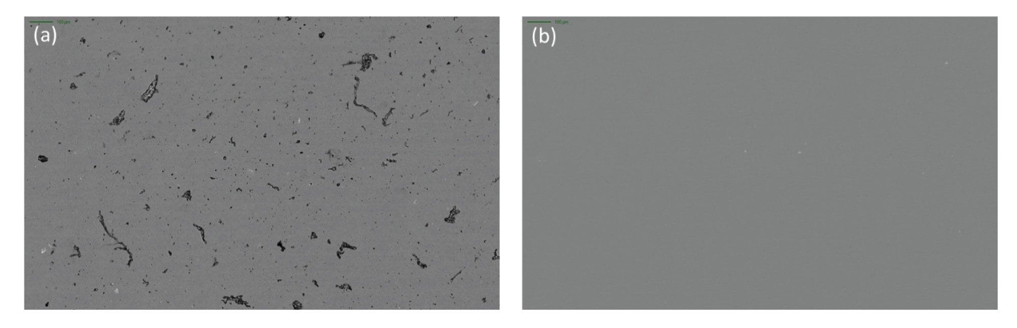 IgG protein aggregates imaged in (a) BMI and (b) SIMI