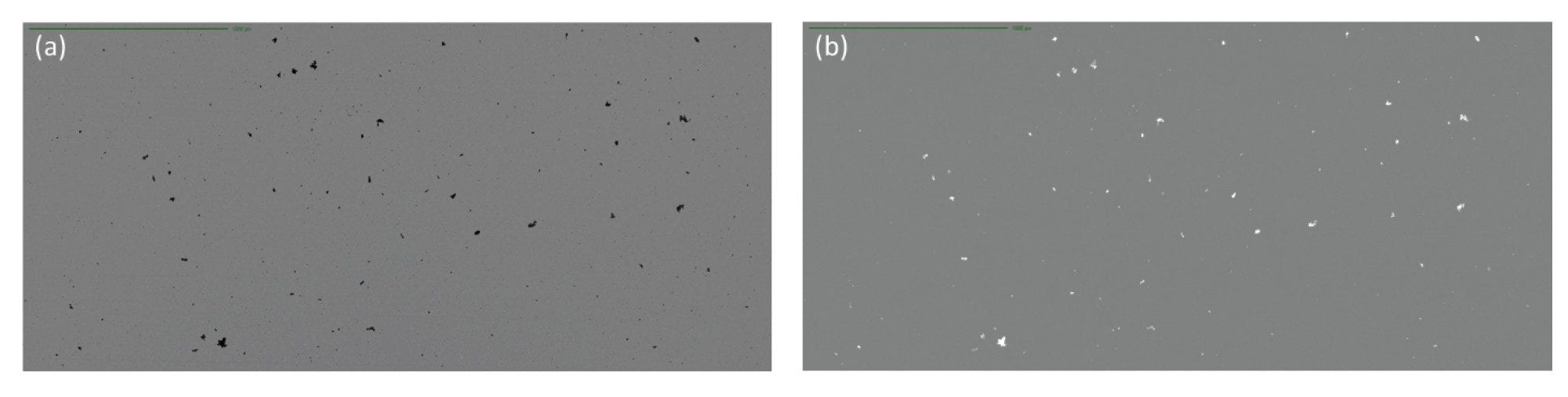 ETFE imaged in (a) Brightfield and (b) SIMI