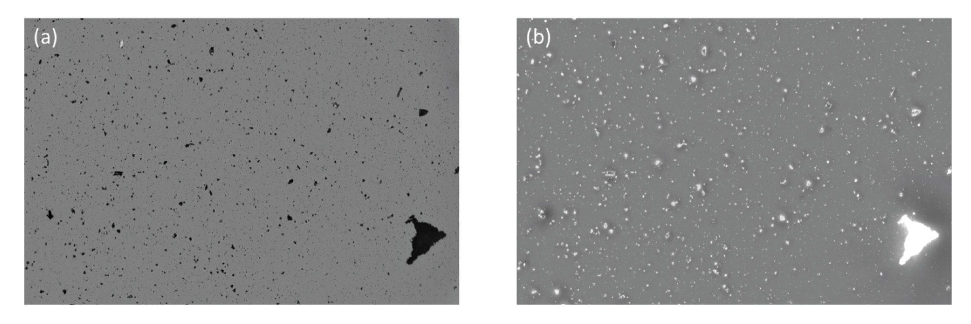 Glass particles imaged in (a) BMI and (b) SIMI