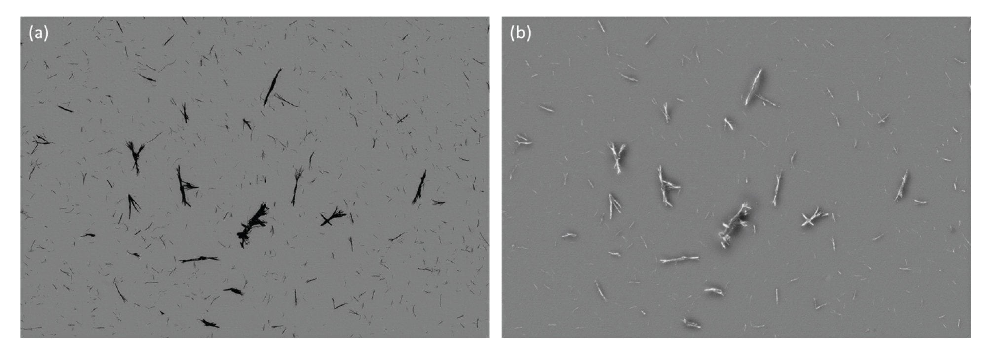 Insoluble dipyridamole crystals imaged in (a) BMI and (b) SIMI helping reveal the intricate three-dimensional morphology of these drug crystals