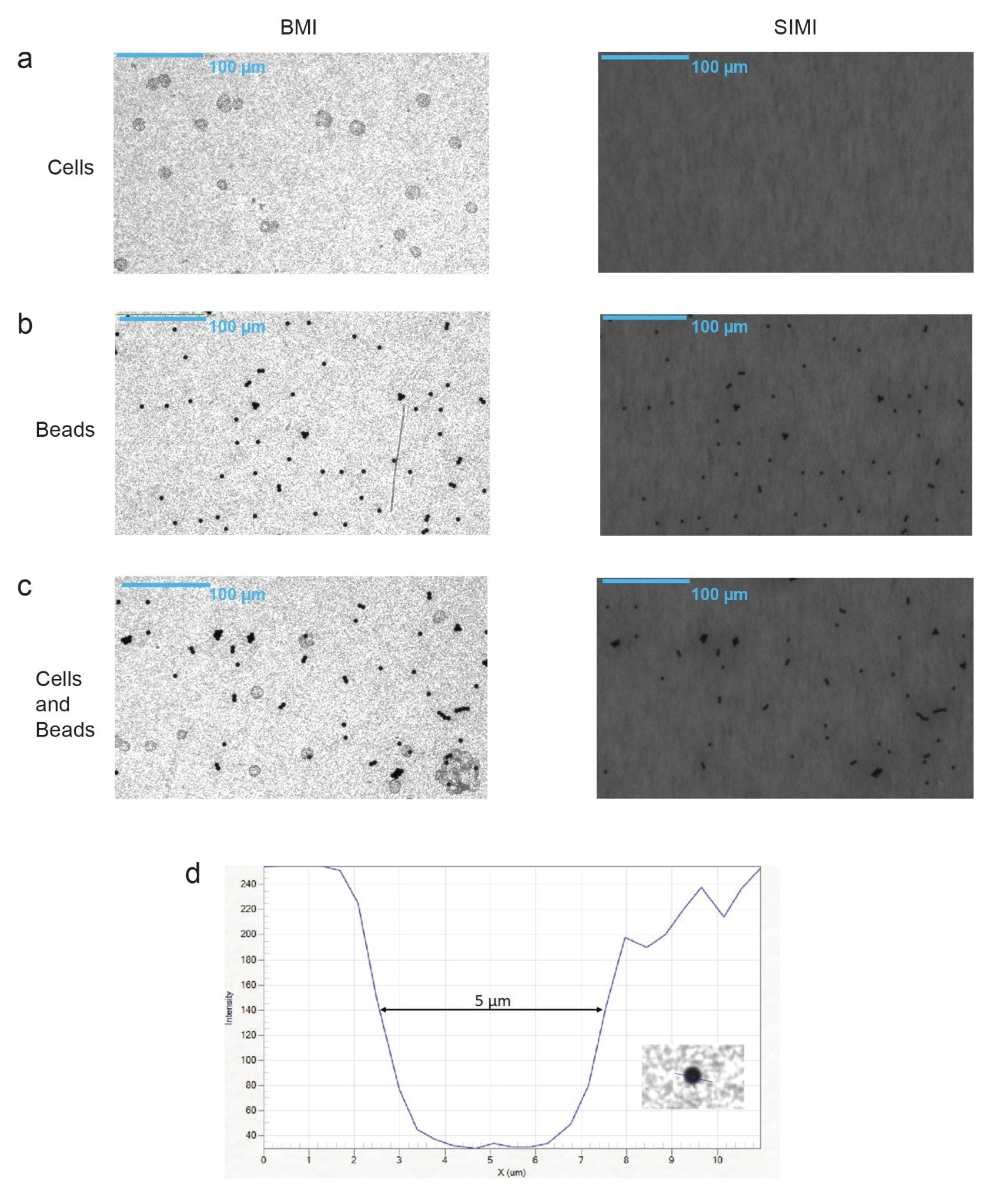 Dynabead analysis using 10x magnification. (a) cells only, (b) Dynabeads only, and (c) a mixed sample containing cells and Dynabeads were imaged using BMI (left) and SIMI (right)