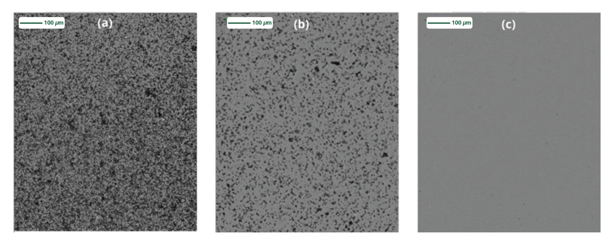 Assessment of LNP particle clearance using filtration