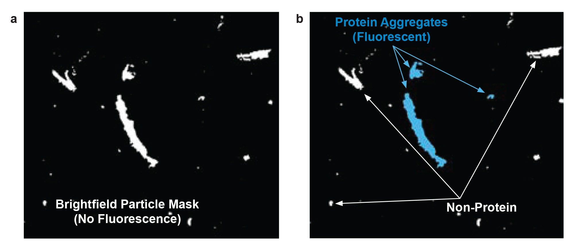 The Particle Mask and FMM
