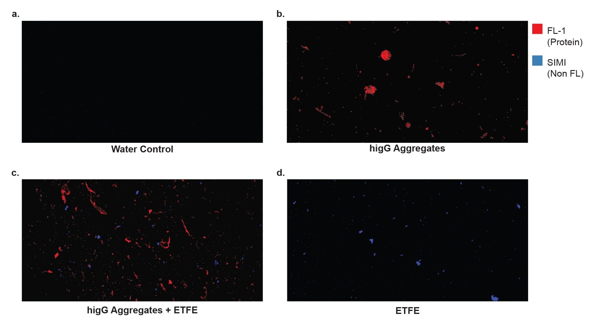 Alpha Blended ThT fluorescence (red) and non-fluorescent Side Illumination (blue) images of (a) WFI control (b) hIgG aggregates (c) serial mix of hIgG aggregates and ETFE and (d) ETFE particles.