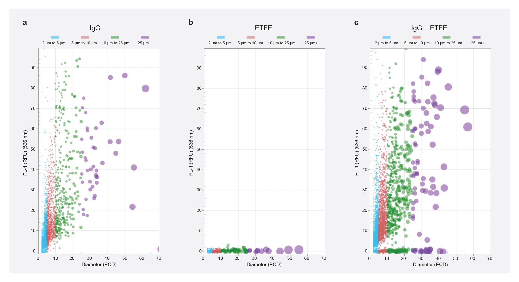 Normalized ThT Fluorescence vs. Equivalent Circular Diameter