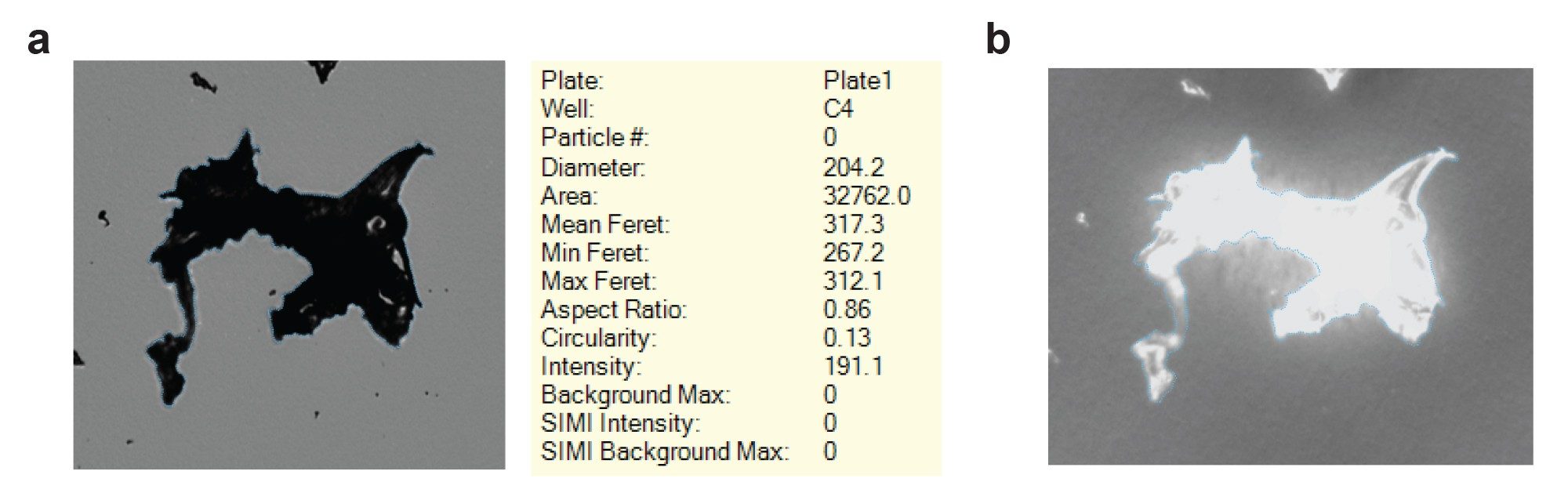 Large, visible ETFE particle detection. (a) Brightfield and (b) SIMI images of the visible ETFE particle