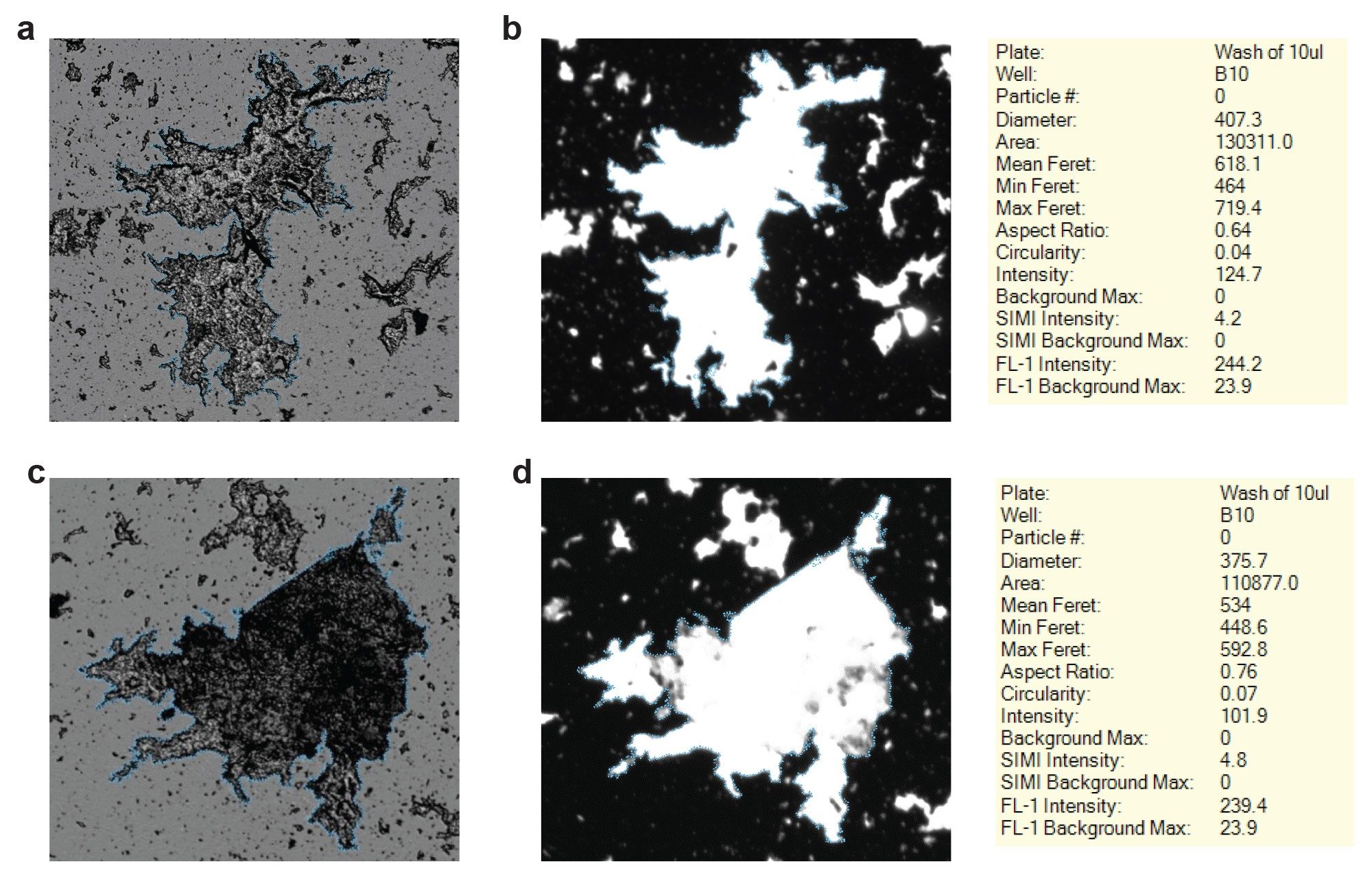 Visible AAV aggregate detection (a,c) Brightfield image of two different visible AAV aggregates
