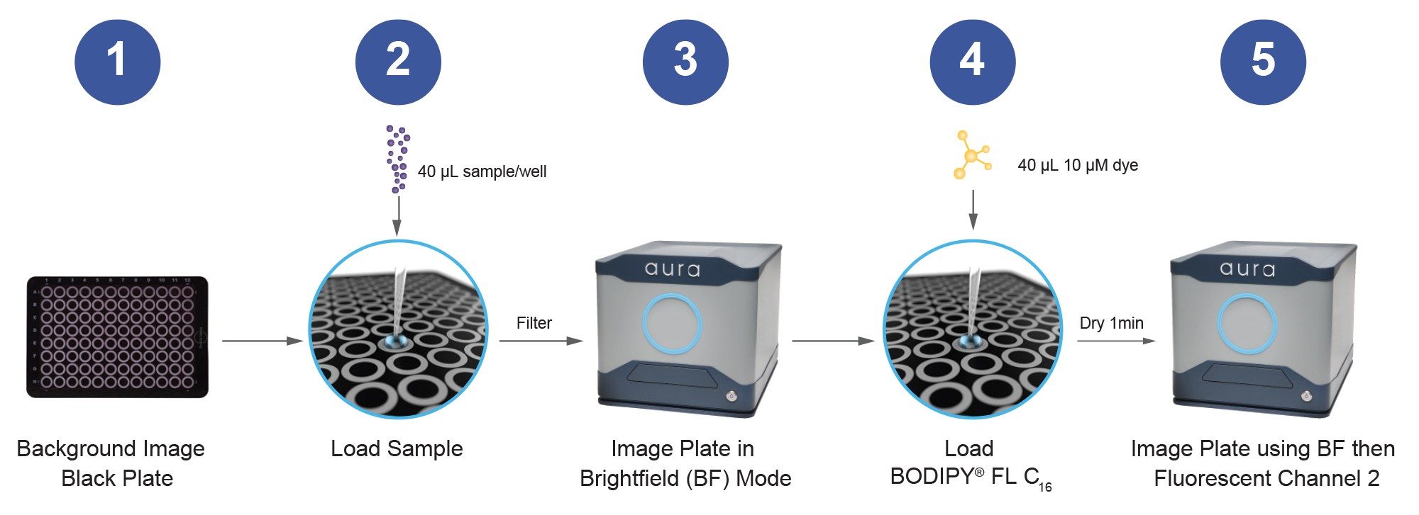 The polysorbate degradation assay workflow on Aura PTx detects