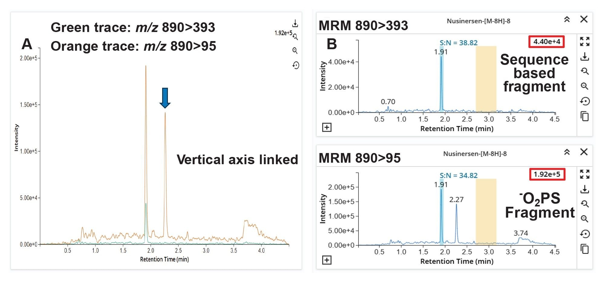  (A) Superimposed chromatograms of nusinersen (tR 1.91 min) extracted from plasma with the vertical axis linked, showing the intensity/noise difference between the MRM transitions 890> 393 (green trace) and 890>95 (orange trace). The blue arrow indicates a matrix peak visible in the 890>95 transition. (B) shows the peak-to-peak S/N differences between both transitions
