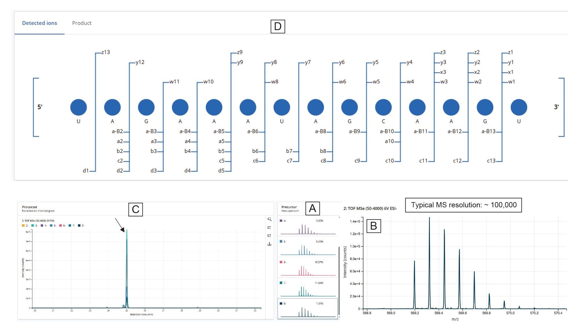 Detailed analysis of the U31:U44 MC1 digestion product