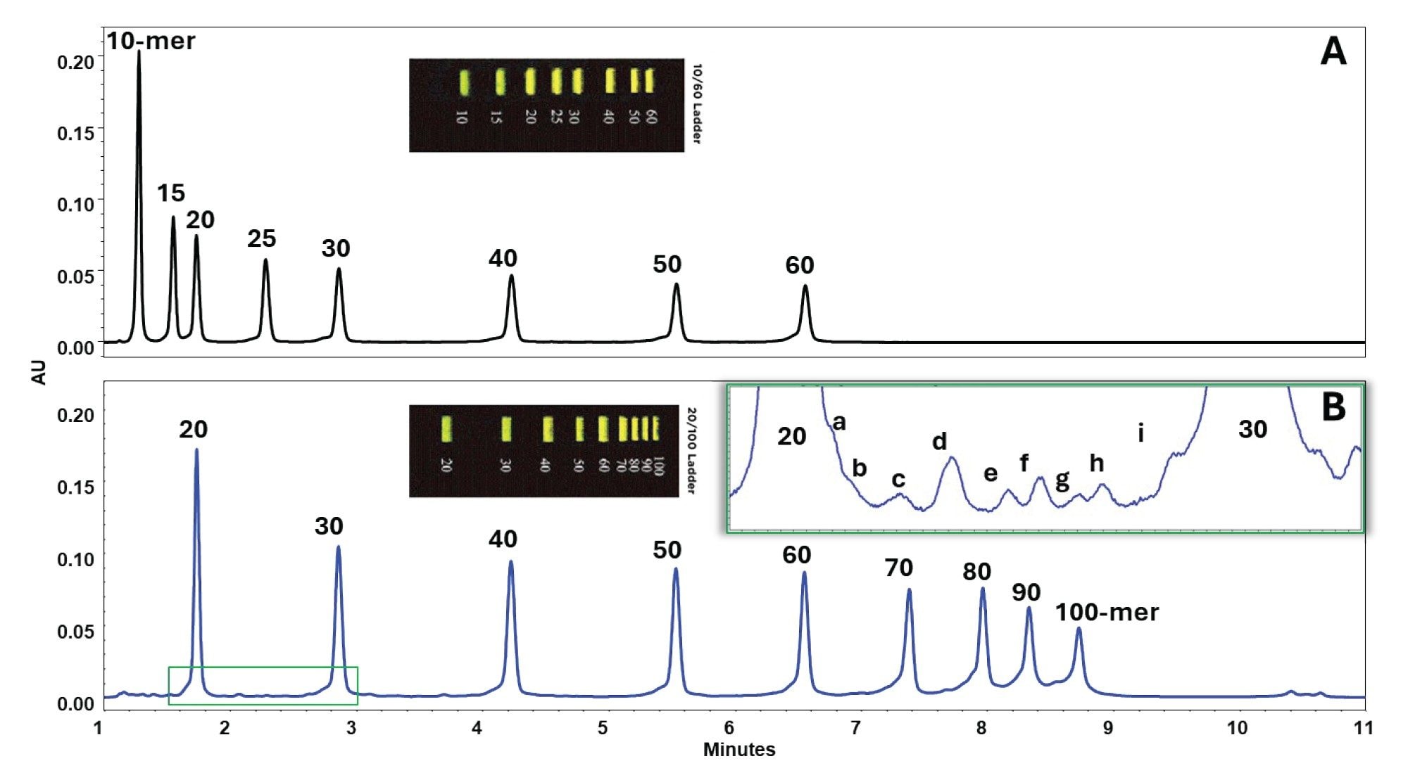 AEX method separation of ssDNA ladders containing 10-60 mer