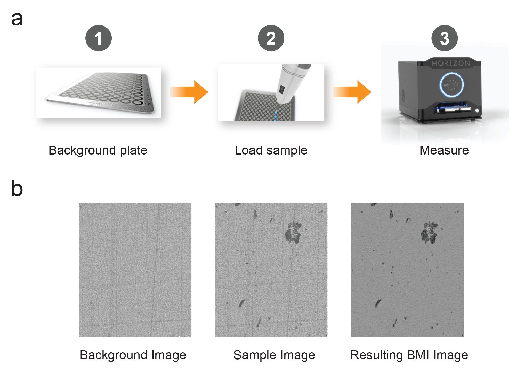 Simple workflow for particle analysis on the HORIZON® system