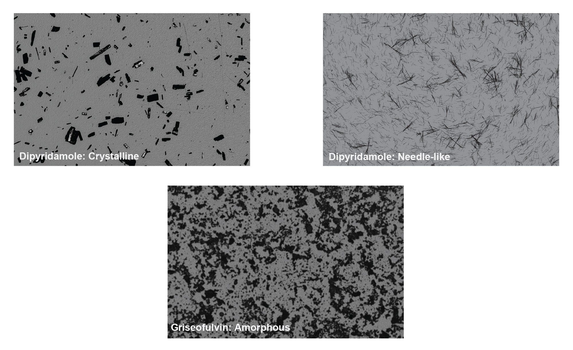 Brightfield image acquired on the HORIZON® of crystalline, needle-shaped, and amorphous solid particles