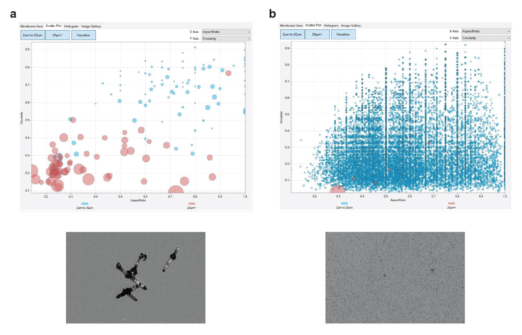 Scatter plots of particle aspect ratio vs circularity of crystalline and amorphous particles
