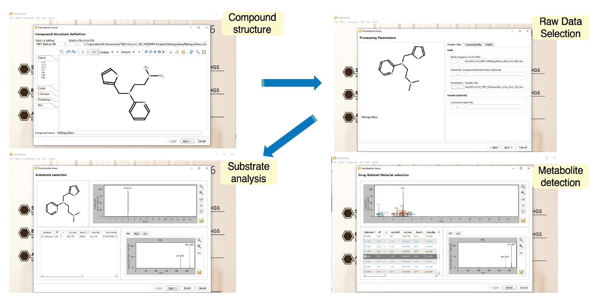 Data analysis using MassMetaSite